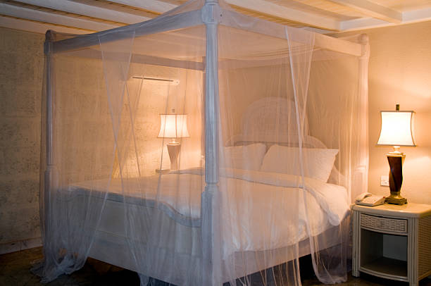Mosquito Nets