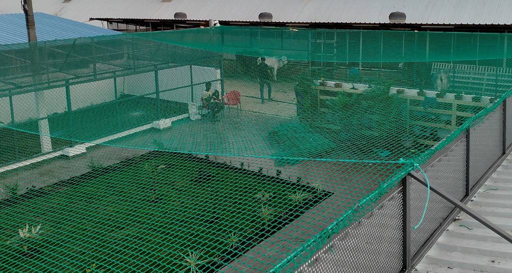 Open Area Safety Nets