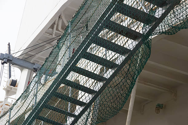 Staircase Safety Nets